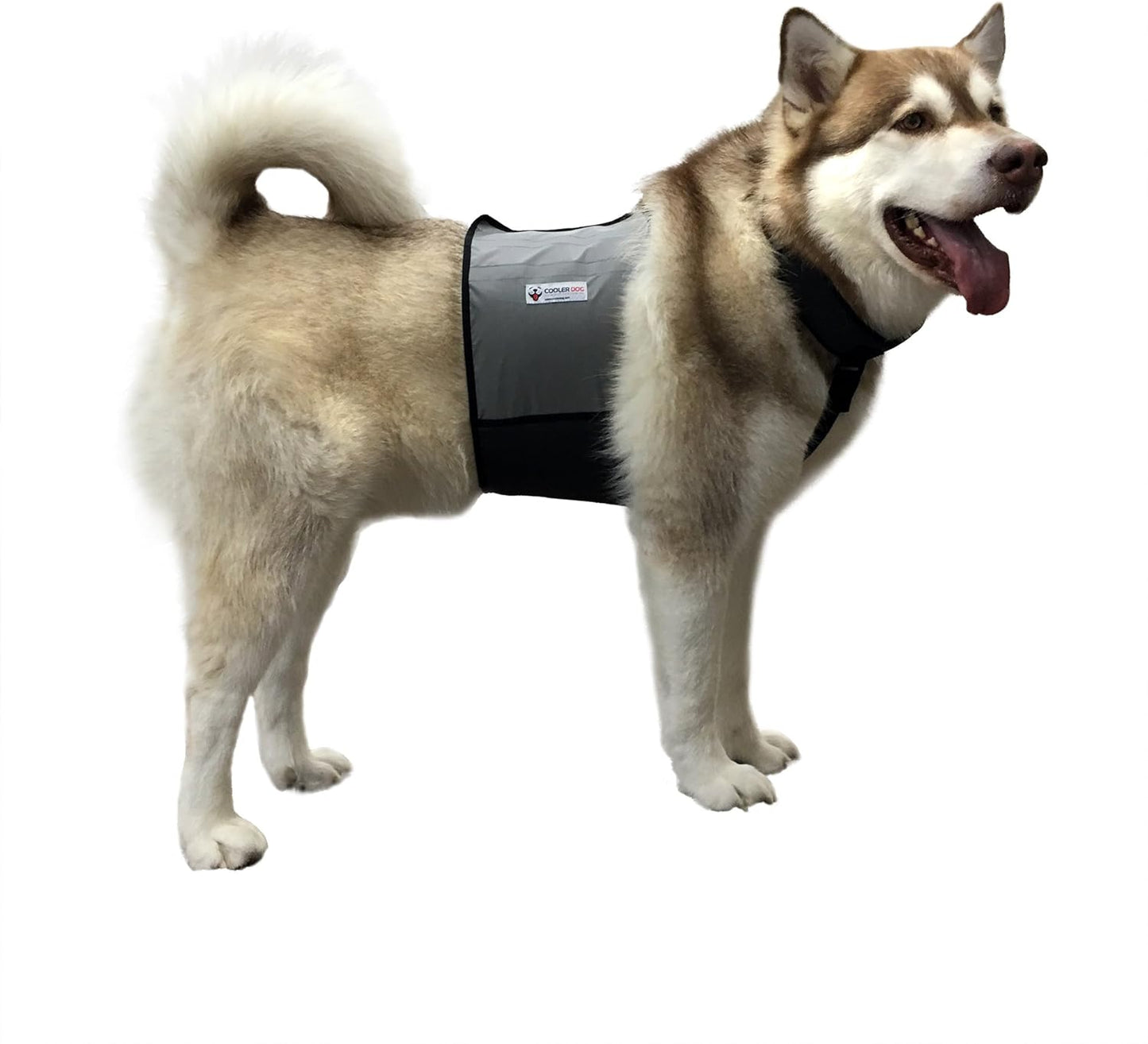 Dog Cooling Vest and Cooling Collar - Ice Vest for Dogs Medium (22" to 27" Girth)