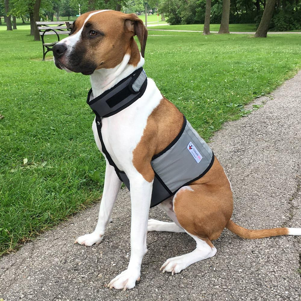 Dog Cooling Vest and Cooling Collar - Ice Vest for Dogs Medium (22" to 27" Girth)