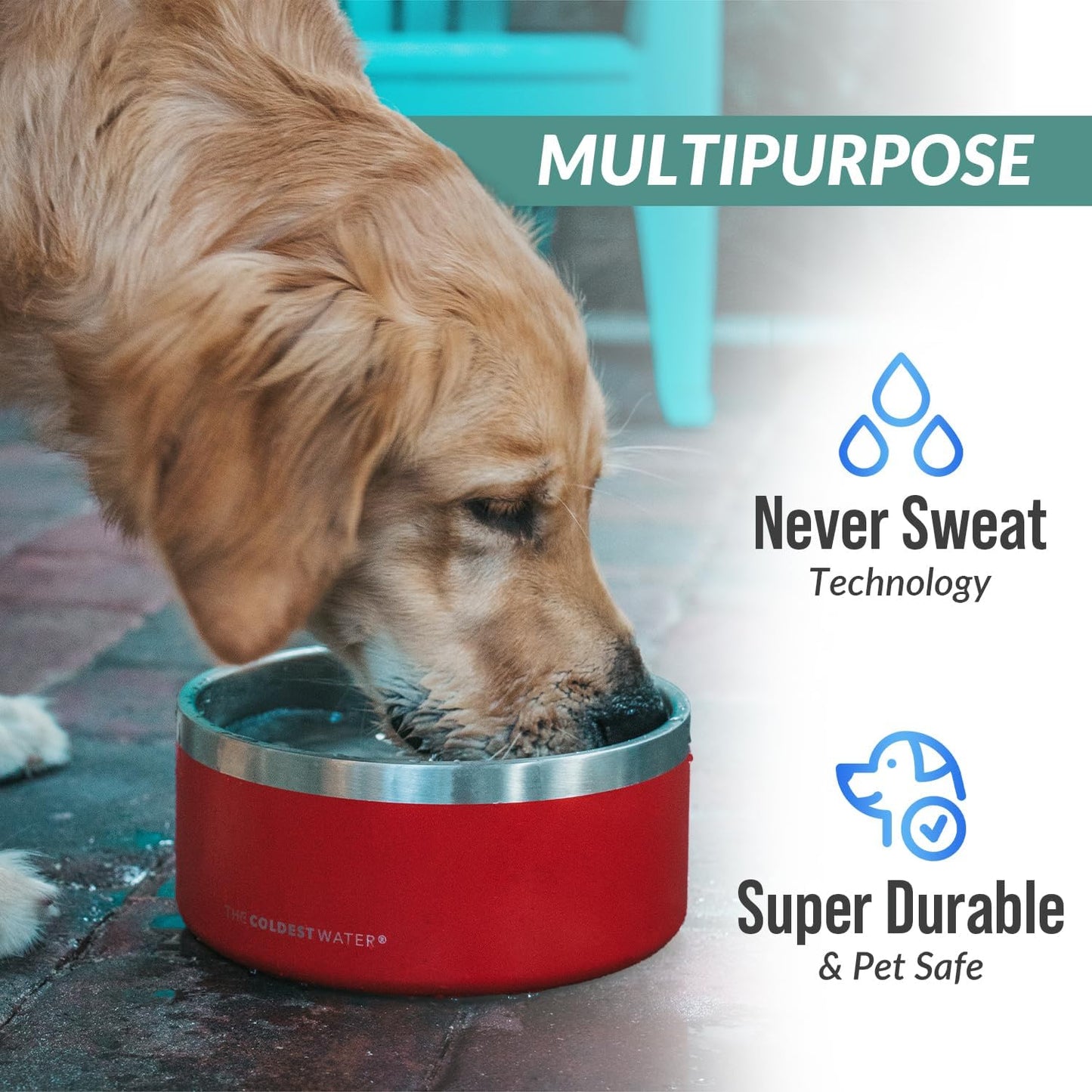 Coldest Dog Bowl - anti Rust Metal, Non Slip, 3 Layers Insulated Stainless Steel Dog Bowls - Spill Proof & Heavy Duty - Water Bowl for Dogs, Cats & Pets, Dish Washer Safe (64 Oz, Celestial Blue)