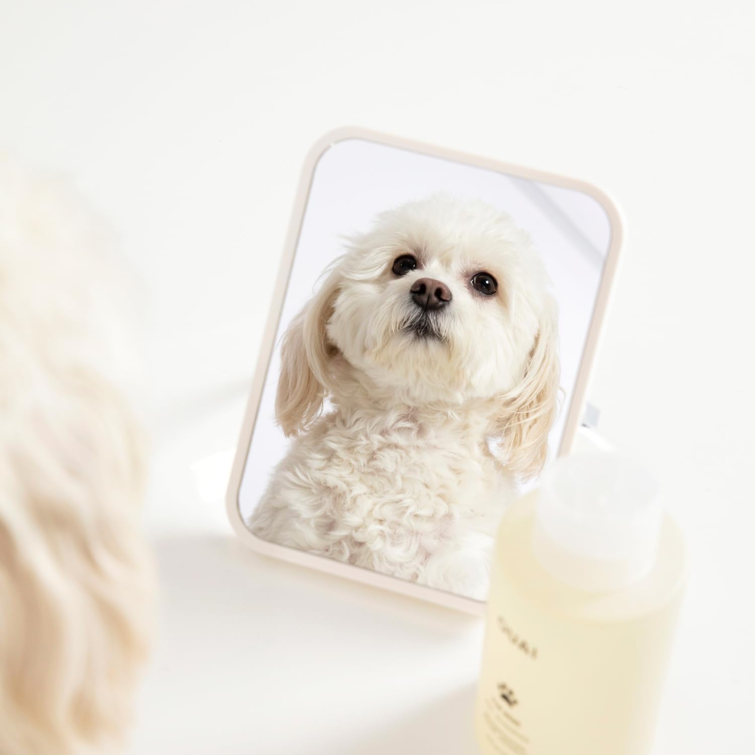 Fur Bébé Pet Shampoo, Mercer Street Scent - Dog Shampoo and Coat Wash for Hydrating, Cleansing and Adding Shine - Pet Supplies by  (16 Fl Oz)