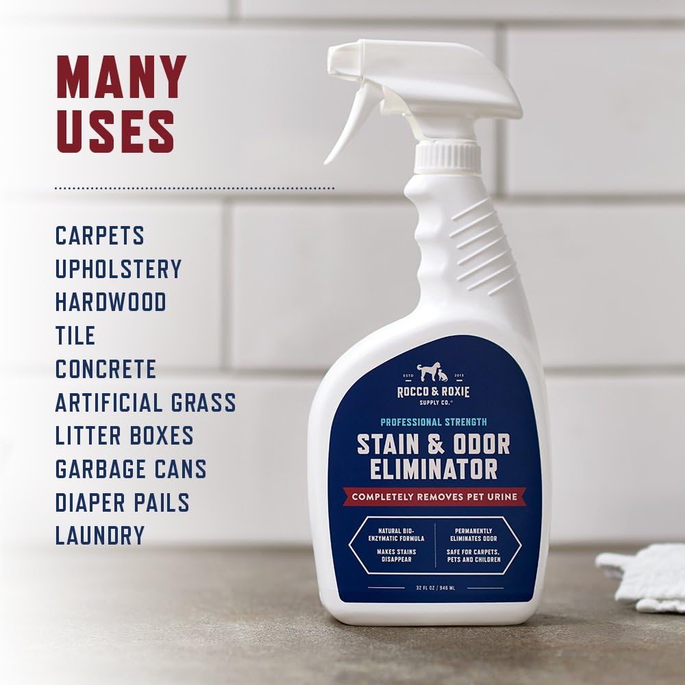 Stain & Strong Odor Eliminator, Enzyme Cleaner, Pet Odor Eliminator for Home - Carpet Stain Remover for Cats & Dog Pee - Urine Destroyer - Carpet Cleaner Spray Clear, 32 Fl Oz