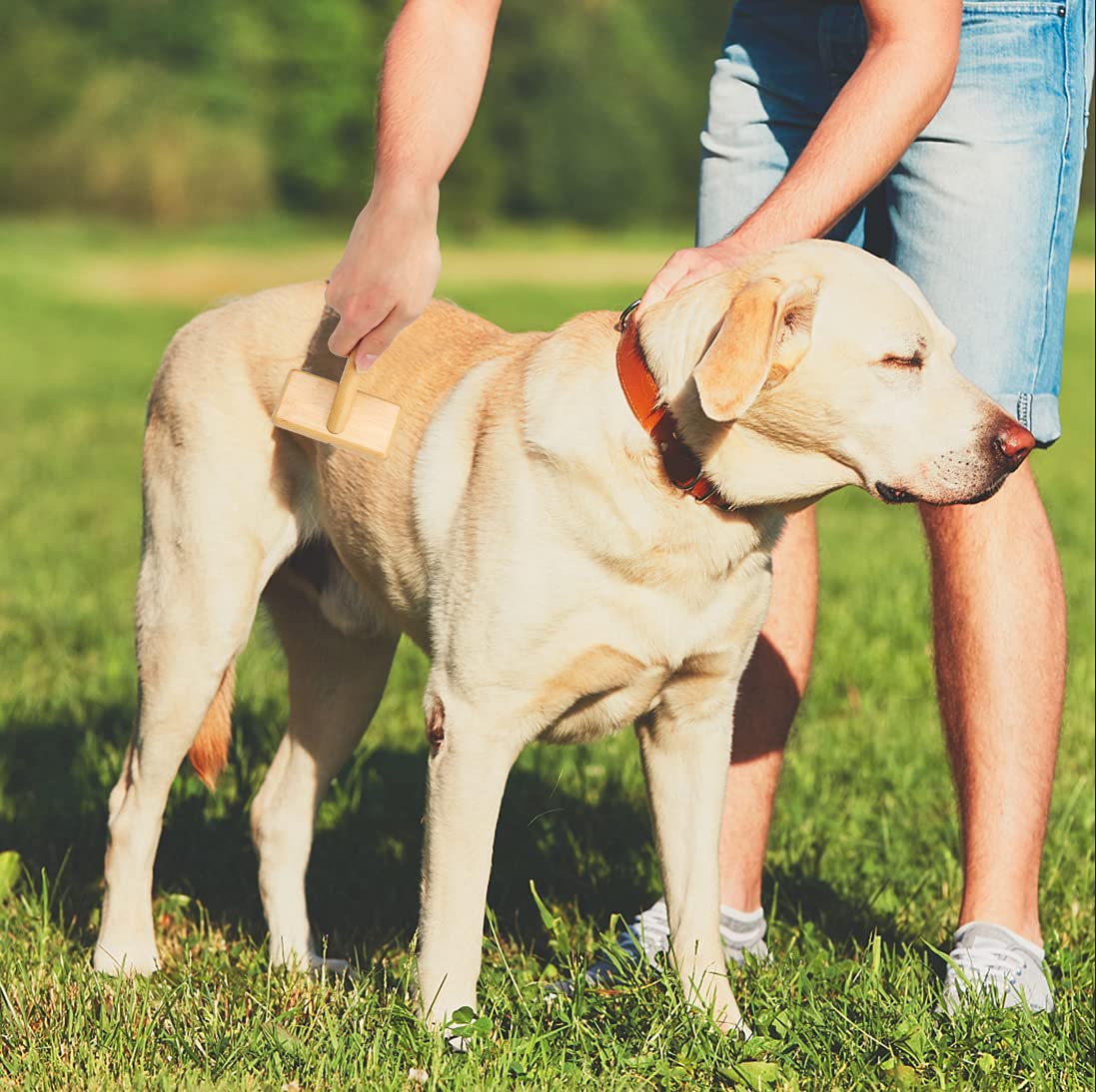 Dog & Cat Brush, Pet Slicker Brush with Bamboo Handle for Large Medium & Short Hair Elegant Grooming Comb for Removing Shedding, Tangles and Dirt