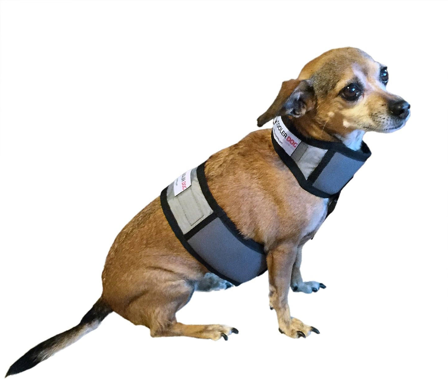 Dog Cooling Vest and Cooling Collar - Ice Vest for Dogs Medium (22" to 27" Girth)