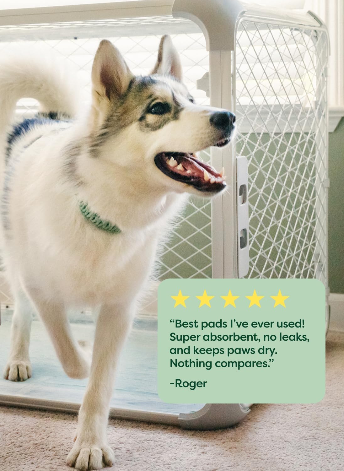 Max Absorbency Puppy Pee Pads for Dogs Absorbs 2X Faster & 2X More, Leak-Proof, Odor Control Potty Training, Unscented, Large, 22” X 23”, 40 Count