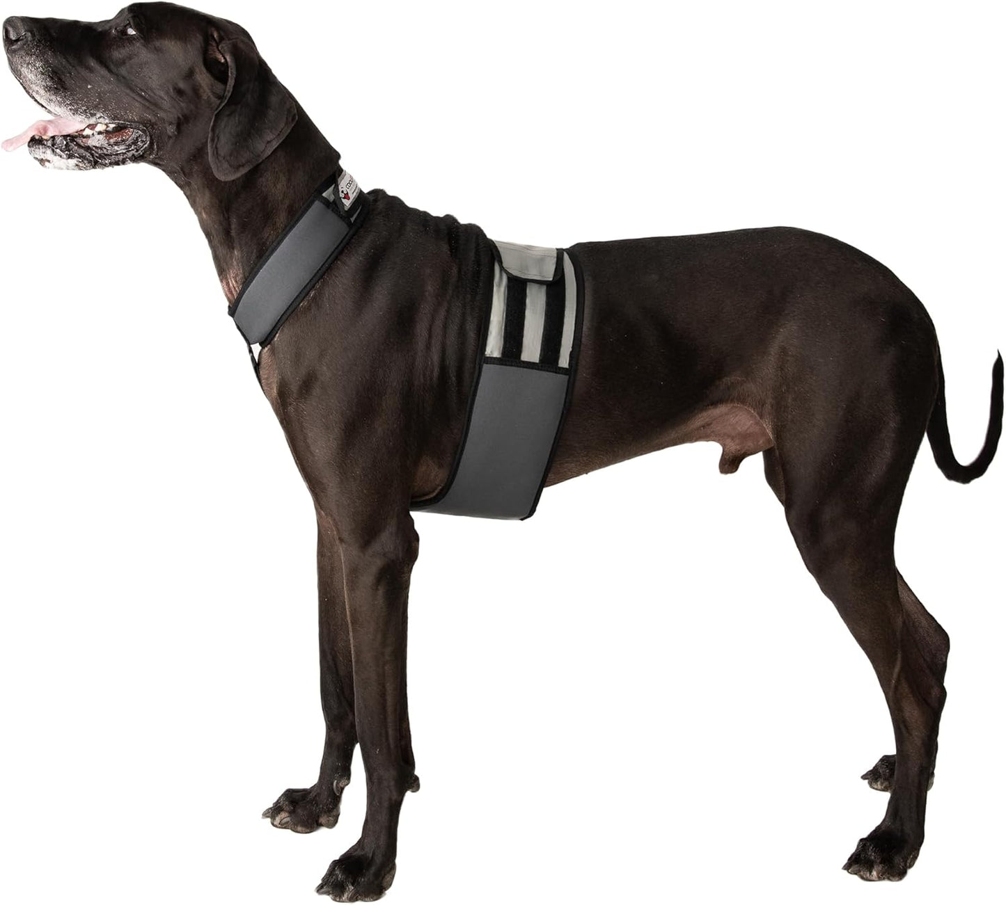 Dog Cooling Vest and Cooling Collar - Ice Vest for Dogs Medium (22" to 27" Girth)