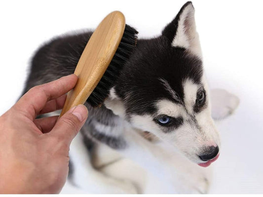 Dog Cat Brush for Shedding, Natural Bamboo Boar Bristles Brush, Pet Grooming Supplies for Short and Long Haired Dogs Cats, Gentle Easy Grooming Massage, Japanese Design
