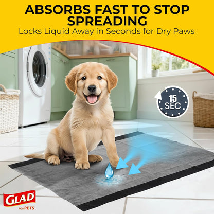 for Pets Extra Large Charcoal Dog Training Pads - Absorbent Disposable Pee Pads for Dogs, Cats & Puppies - Jumbo-Size Potty Pads That Neutralize Urine Instantly - 30 Count Pet Supplies