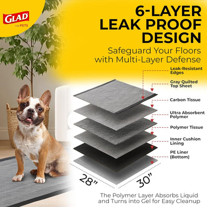 for Pets Extra Large Charcoal Dog Training Pads - Absorbent Disposable Pee Pads for Dogs, Cats & Puppies - Jumbo-Size Potty Pads That Neutralize Urine Instantly - 30 Count Pet Supplies