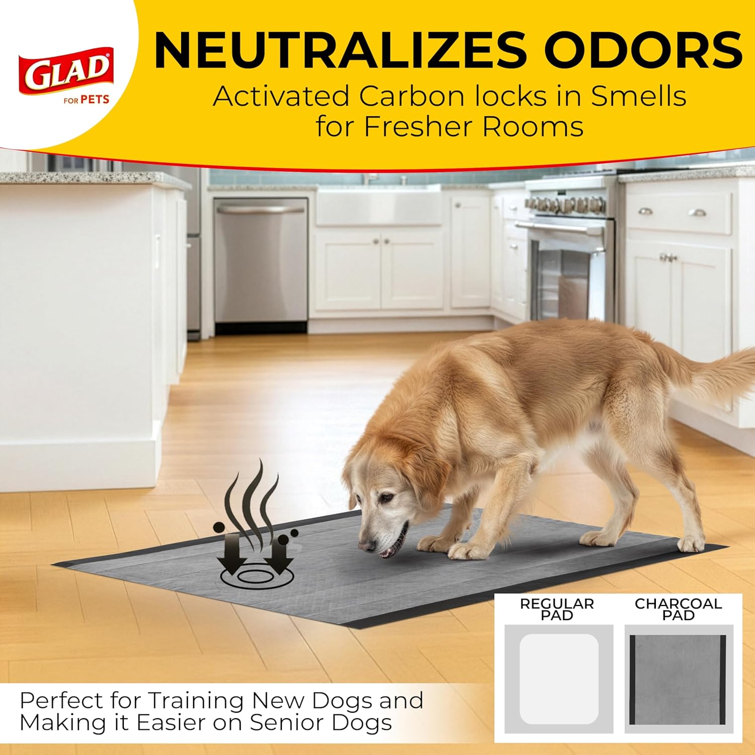 for Pets Extra Large Charcoal Dog Training Pads - Absorbent Disposable Pee Pads for Dogs, Cats & Puppies - Jumbo-Size Potty Pads That Neutralize Urine Instantly - 30 Count Pet Supplies