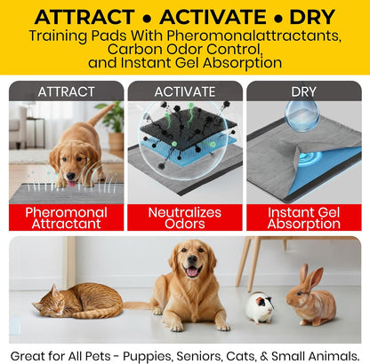 for Pets Extra Large Charcoal Dog Training Pads - Absorbent Disposable Pee Pads for Dogs, Cats & Puppies - Jumbo-Size Potty Pads That Neutralize Urine Instantly - 30 Count Pet Supplies