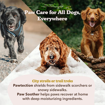 Paw Soother Balm & Wax 2 Oz Stick – Nourishing Paw Care with Coconut & Hempseed Oils + Calendula – Soothes Dry, Cracked Pads – Lick-Safe & Weather Protective