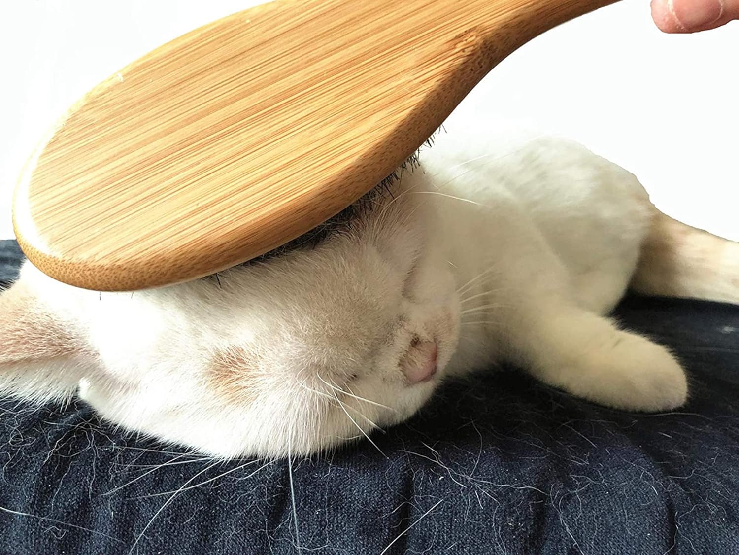 Dog Cat Brush for Shedding, Natural Bamboo Boar Bristles Brush, Pet Grooming Supplies for Short and Long Haired Dogs Cats, Gentle Easy Grooming Massage, Japanese Design