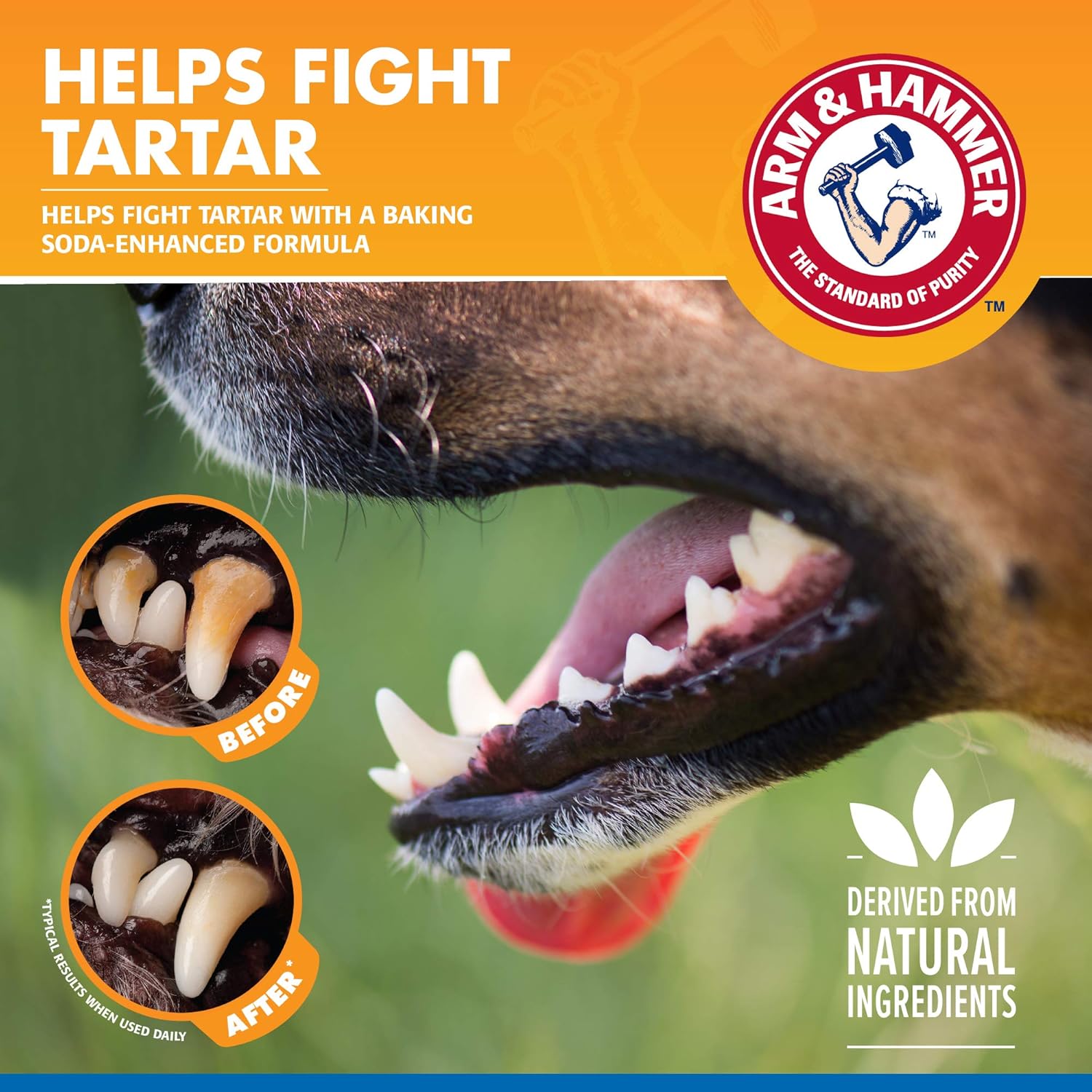 for Pets Tartar Control Dental Spray for Dogs, Mint Flavor - Dog Breath Freshener, Dog Plaque and Tartar Remover, Dog Dental Care and Teeth Cleaning, 4 Ounce
