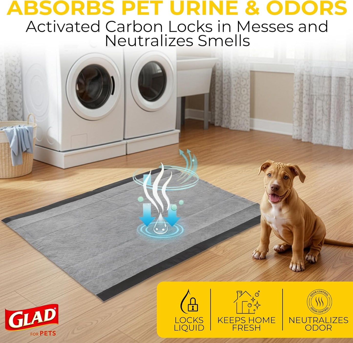 for Pets Extra Large Charcoal Dog Training Pads - Absorbent Disposable Pee Pads for Dogs, Cats & Puppies - Jumbo-Size Potty Pads That Neutralize Urine Instantly - 30 Count Pet Supplies