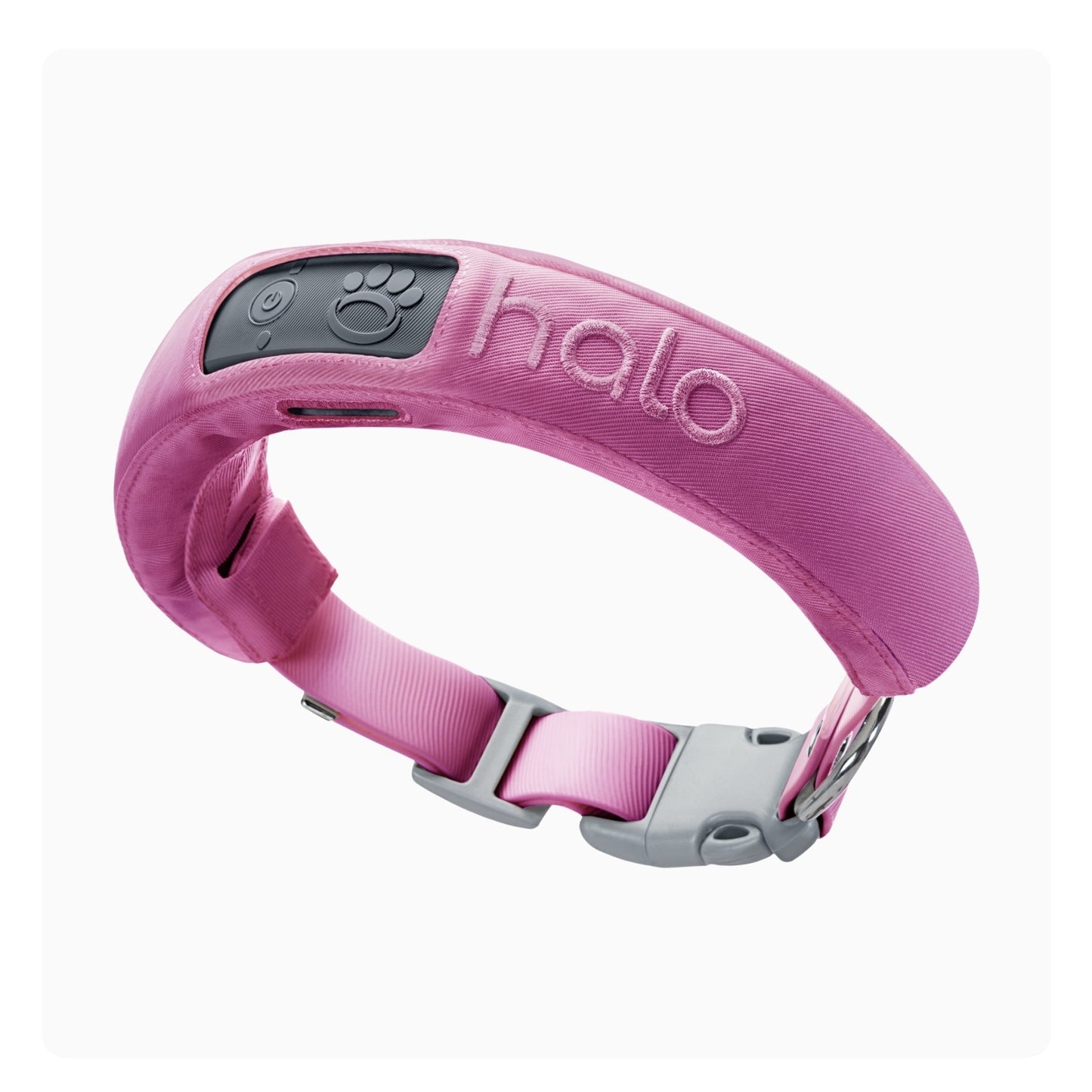 3 - Wireless GPS Dog Fence & Training Collar with Real-Time Tracking, Sunburst, Small