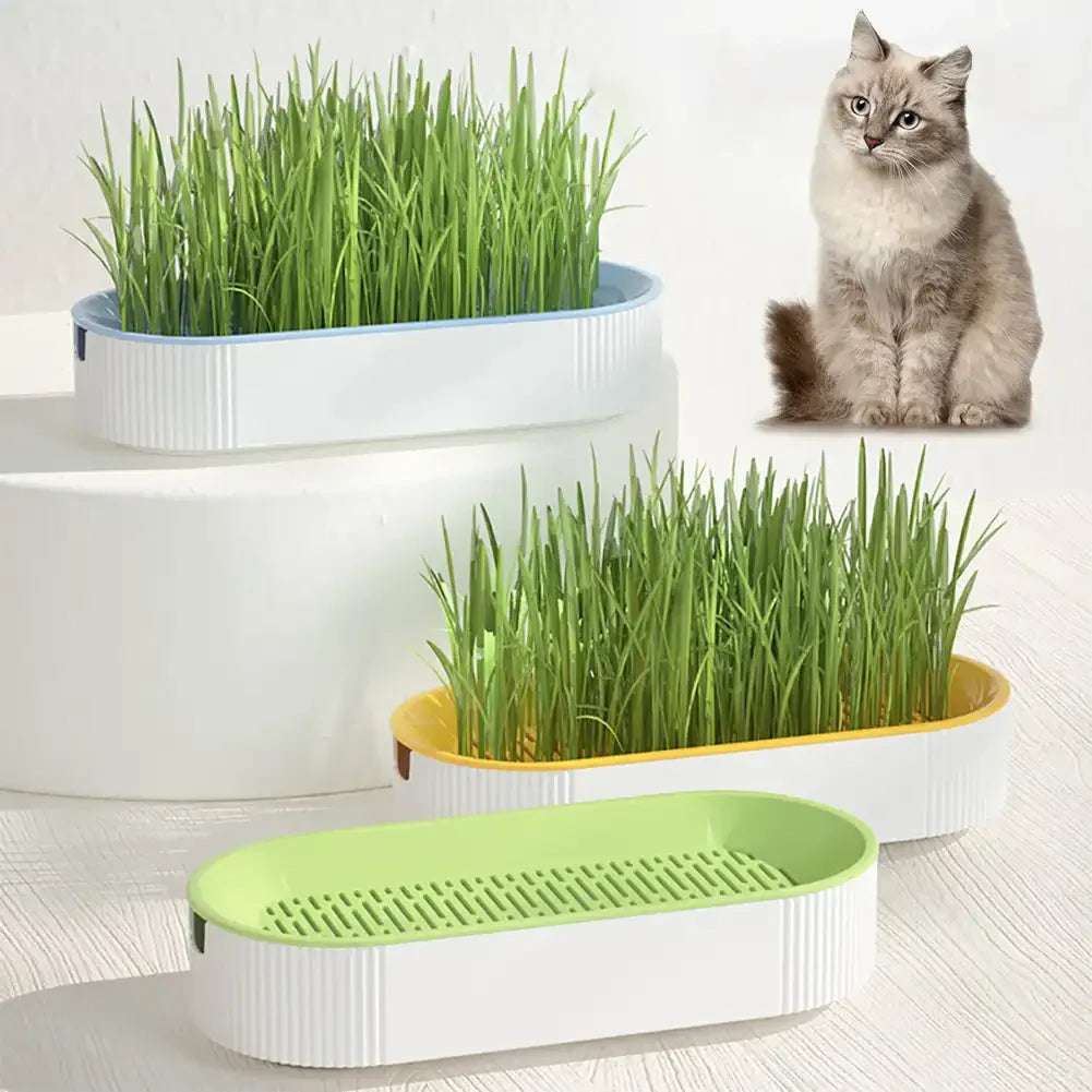 Pet Cat Sprout Dish Growing Pot Hydroponic Plant Cat Grass Germination Digestion Starter Dish Greenhouse Grow Box Reusable