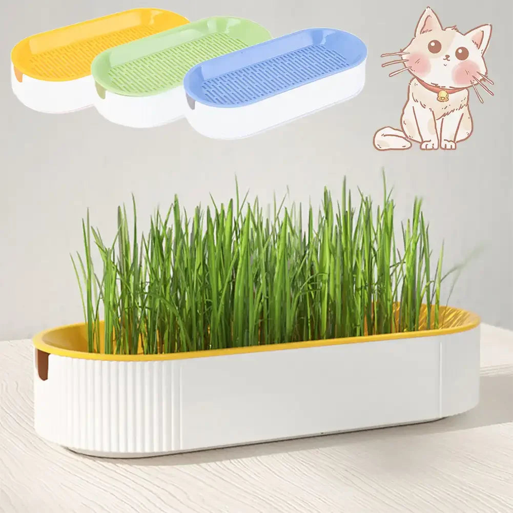 Pet Cat Sprout Dish Growing Pot Hydroponic Plant Cat Grass Germination Digestion Starter Dish Greenhouse Grow Box Reusable