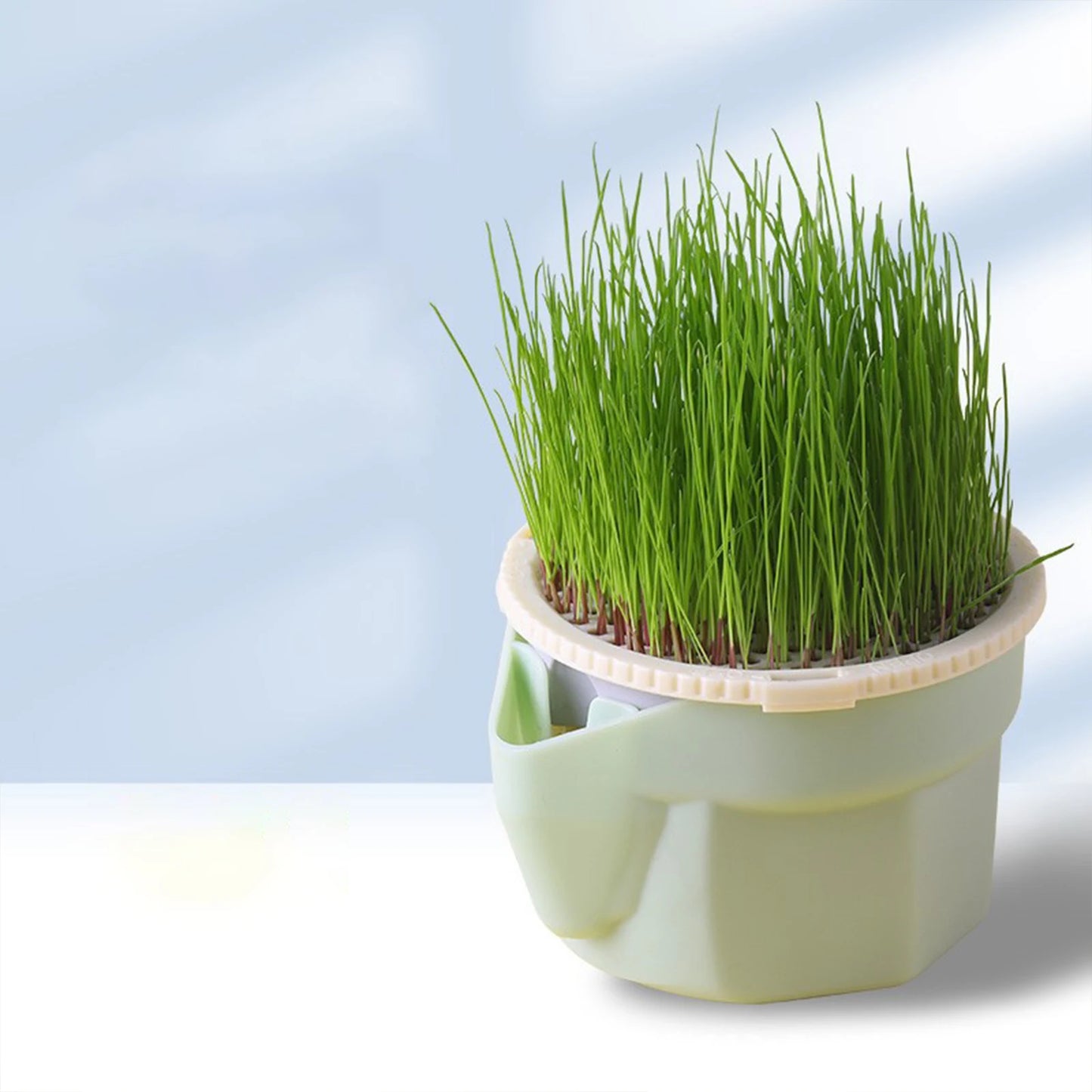 Cat Grass Box Planter Hydroponic Micro Vegetable Planting Box Soilless Cultivation Reusable Catnip Planting Container Cat Grass