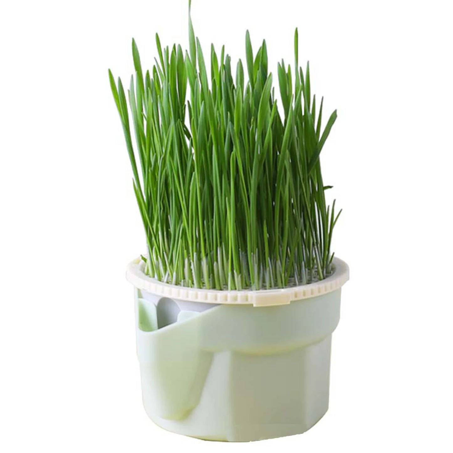 Cat Grass Box Planter Hydroponic Micro Vegetable Planting Box Soilless Cultivation Reusable Catnip Planting Container Cat Grass