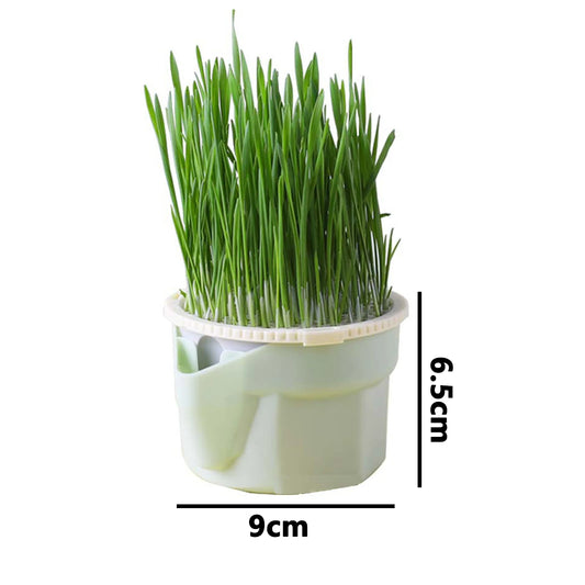 Cat Grass Box Planter Hydroponic Micro Vegetable Planting Box Soilless Cultivation Reusable Catnip Planting Container Cat Grass