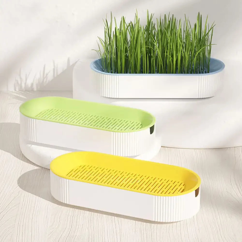 Pet Cat Sprout Dish Growing Pot Hydroponic Plant Cat Grass Germination Digestion Starter Dish Greenhouse Grow Box Reusable