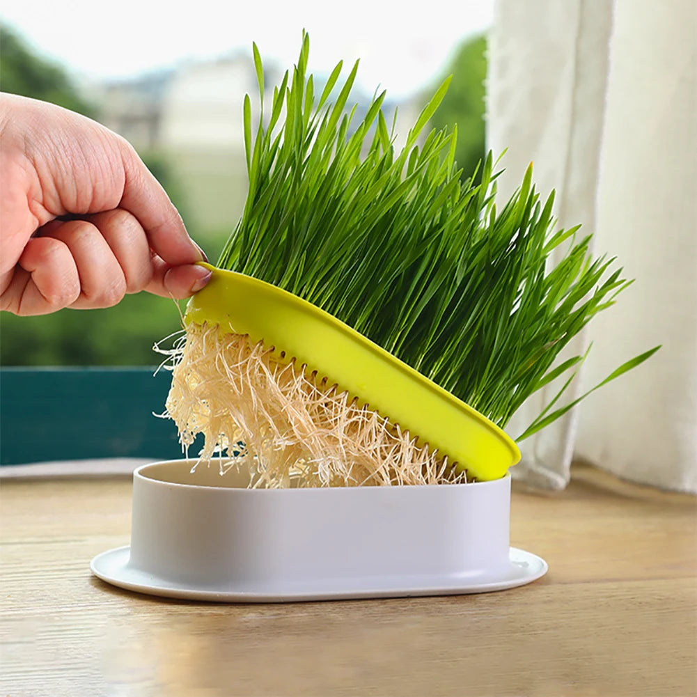 Pet Cat Sprout Dish Growing Pot Hydroponic Plant Cat Grass Germination Digestion Starter Dish Greenhouse Grow Box Reusable