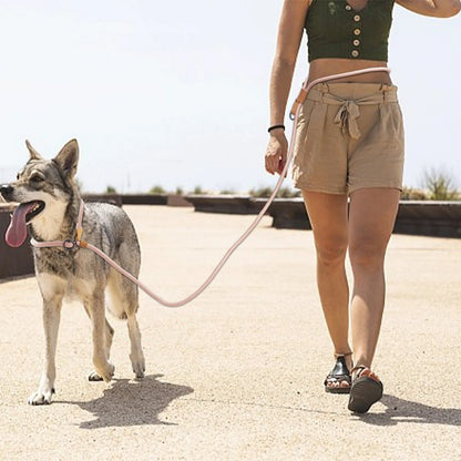 Multi-Functional Adjustable P-Shape Dog Leash Chain Traction Rope Leads for Running Walking Free Hands Free Leashes