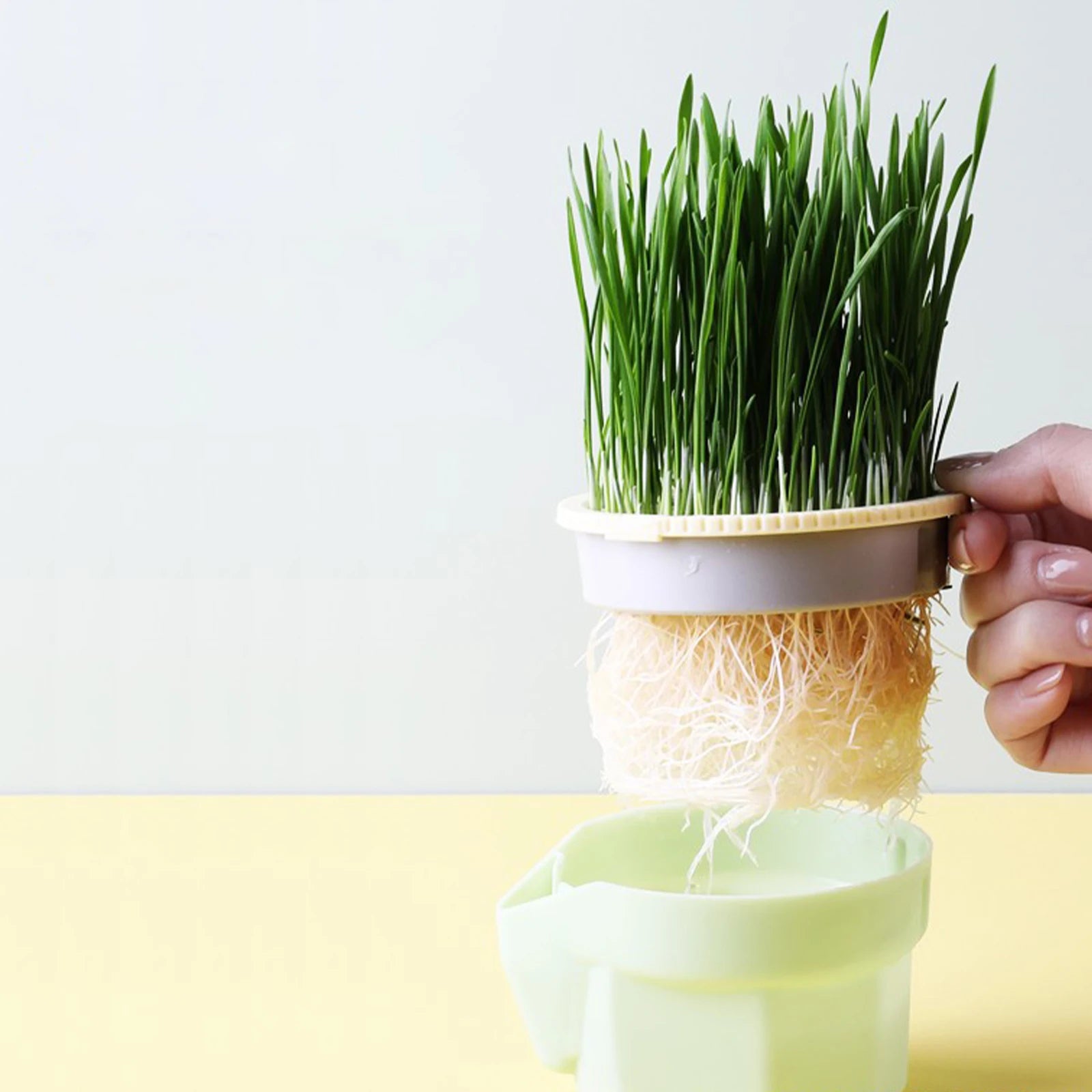 Cat Grass Box Planter Hydroponic Micro Vegetable Planting Box Soilless Cultivation Reusable Catnip Planting Container Cat Grass