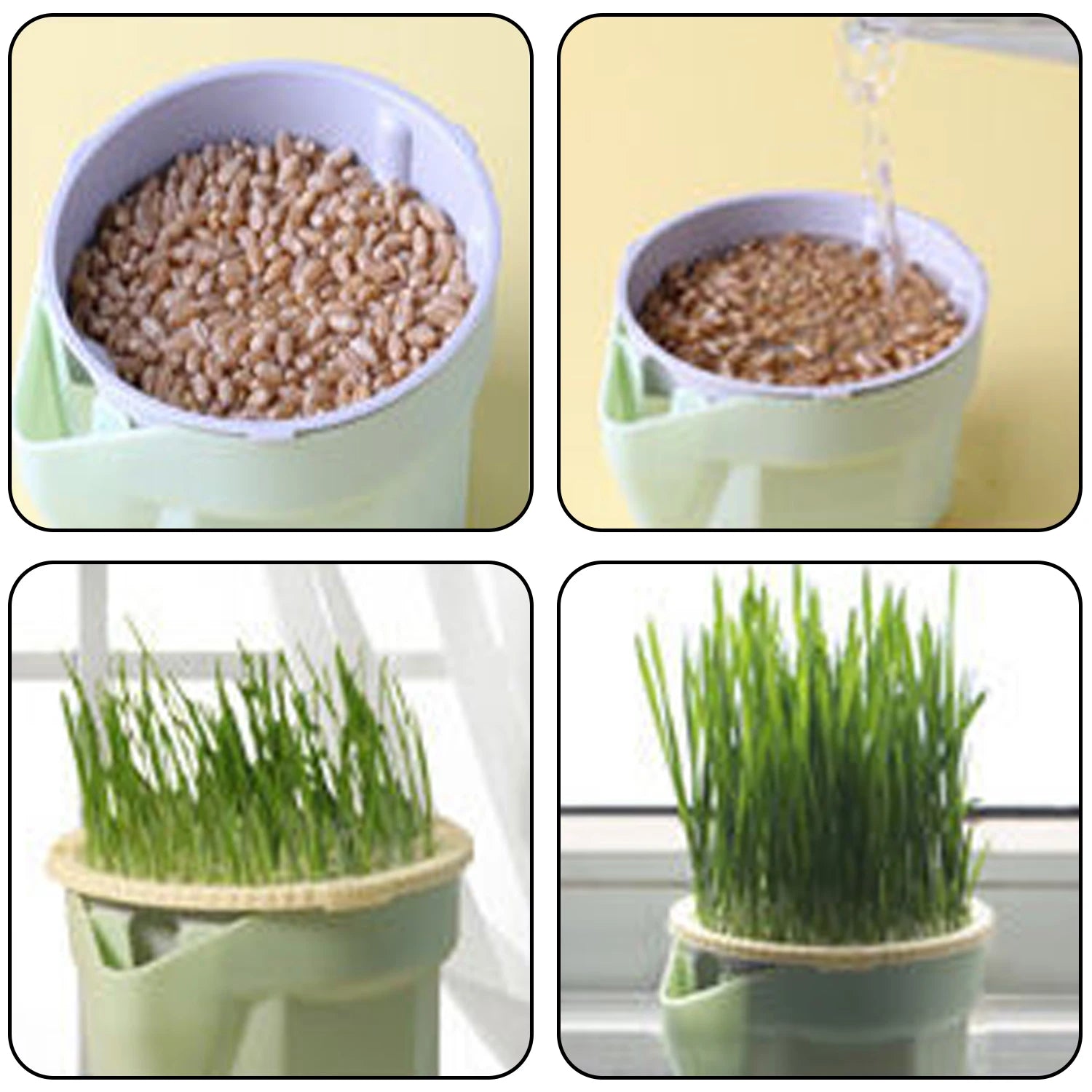 Cat Grass Box Planter Hydroponic Micro Vegetable Planting Box Soilless Cultivation Reusable Catnip Planting Container Cat Grass