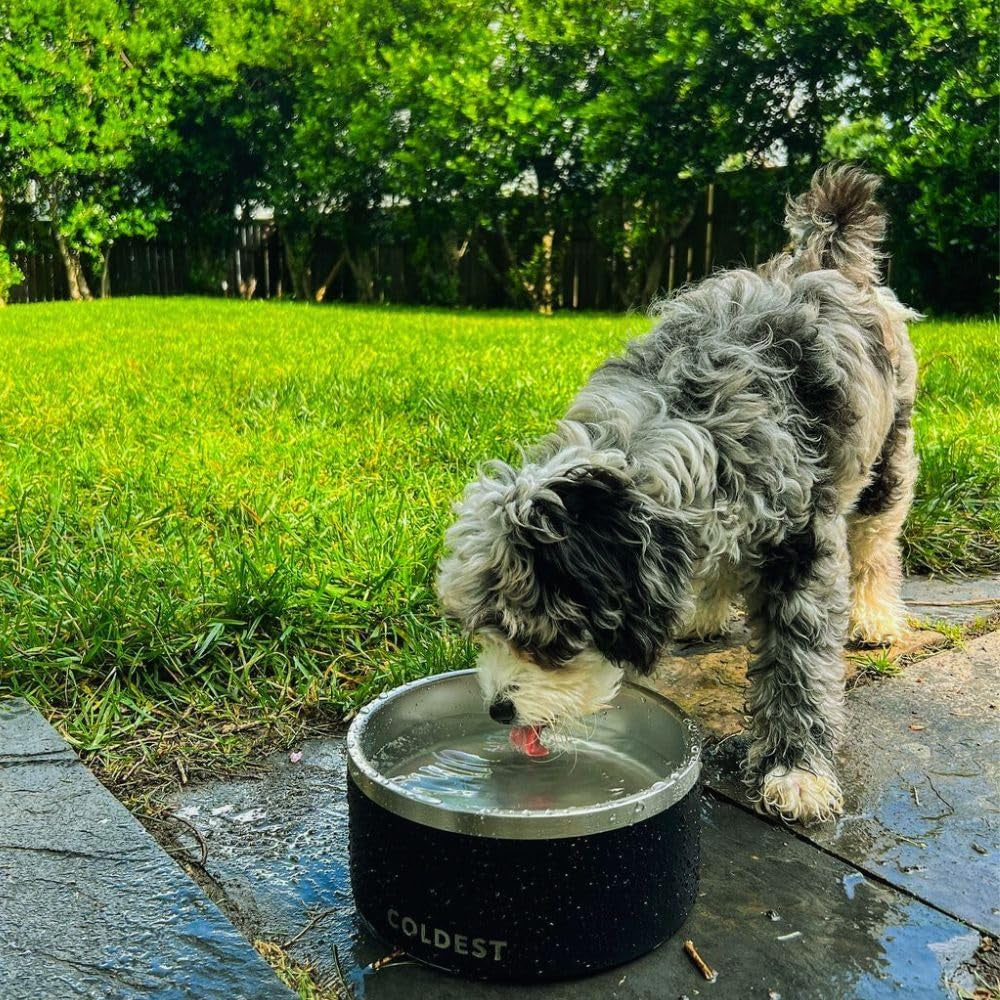 Coldest Dog Bowl - anti Rust Metal, Non Slip, 3 Layers Insulated Stainless Steel Dog Bowls - Spill Proof & Heavy Duty - Water Bowl for Dogs, Cats & Pets, Dish Washer Safe (64 Oz, Celestial Blue)