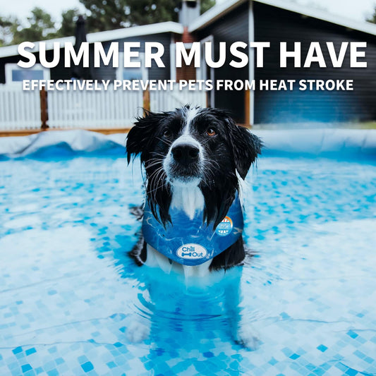 Dog Cooling Bandana, Cooling Bandanas for Small Dogs, Ice Dog Bandanas, Cooling Neck Wraps for Dogs, Chill Out Blue Collar Neck Cooler (S)