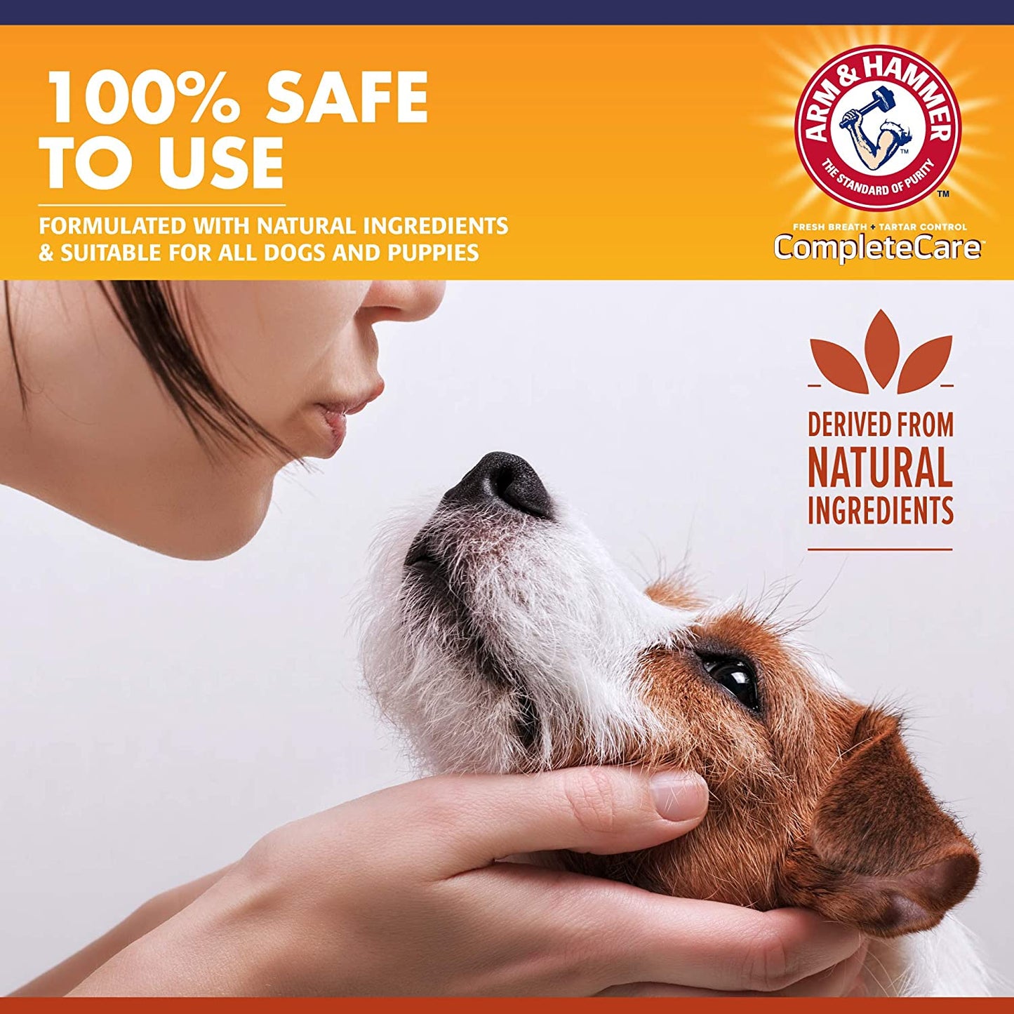 Complete Care Dog Dental Spray, Mint Flavor, Easy Brushless Dog Breath Freshener, Baking Soda Enhanced Formula for Fresh Dog Breath, 6Oz