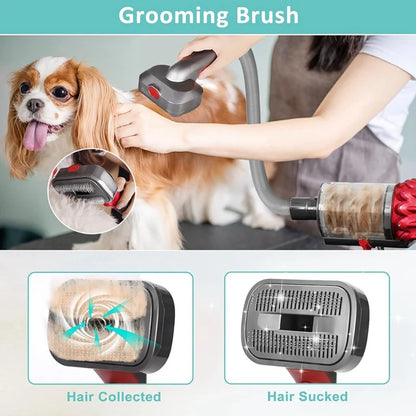 Complete Pet Dog Grooming Kit for Dyson Vacuum Models V7 to V15, Dog Hair Groomer Tools Included;
